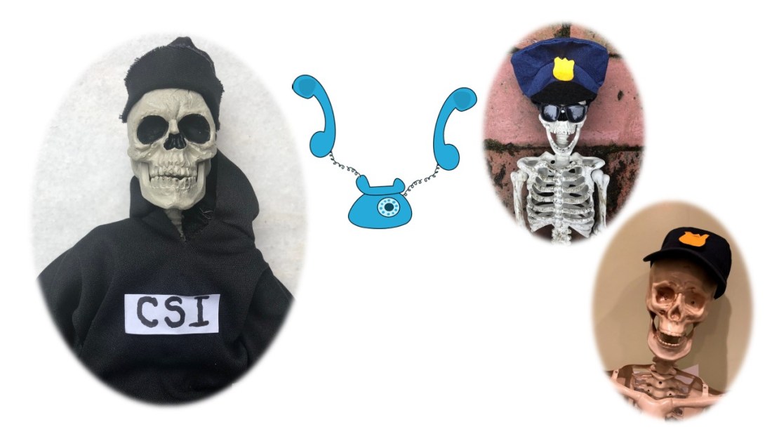 DOA-CSI-birdy-Phone2